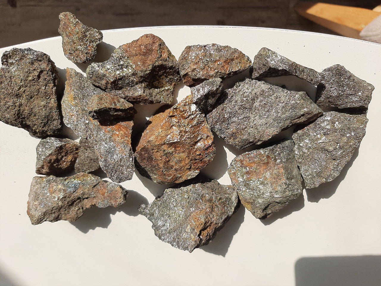 WhatsApp Image 2021-12-21 at 15.04.24.jpeg