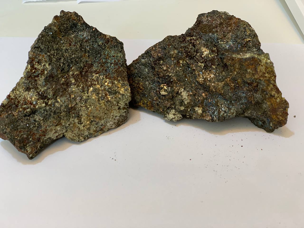 WhatsApp Image 2021-09-24 at 08.38.05.jpeg