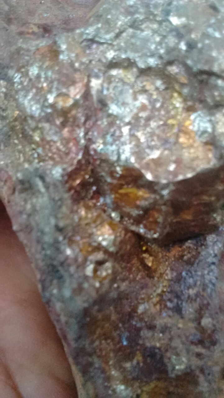 WhatsApp Image 2017-07-16 at 19.18.40.jpeg