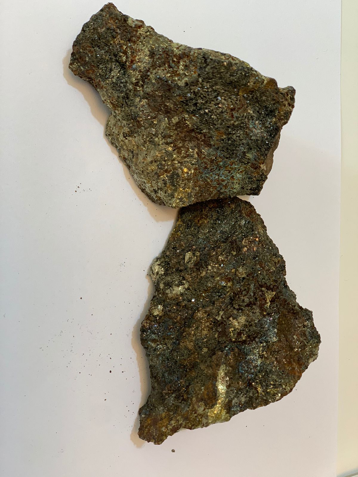 WhatsApp Image 2021-09-13 at 10.16.41.jpeg