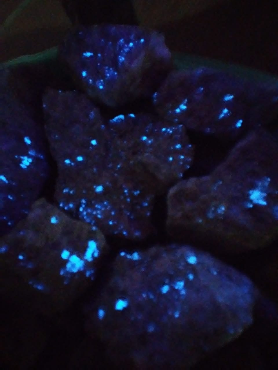 WhatsApp Image 2019-03-01 at 07.06.59 (1).jpeg